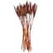 Dried Plant Bunny Tail Natural Foliage with Long Stems